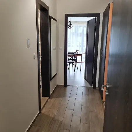 Ilarion 5 At Center *