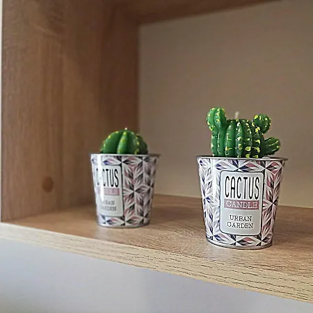 Daire Ilarion 5 At Center