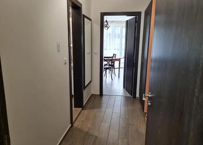 Ilarion 5 At Center *